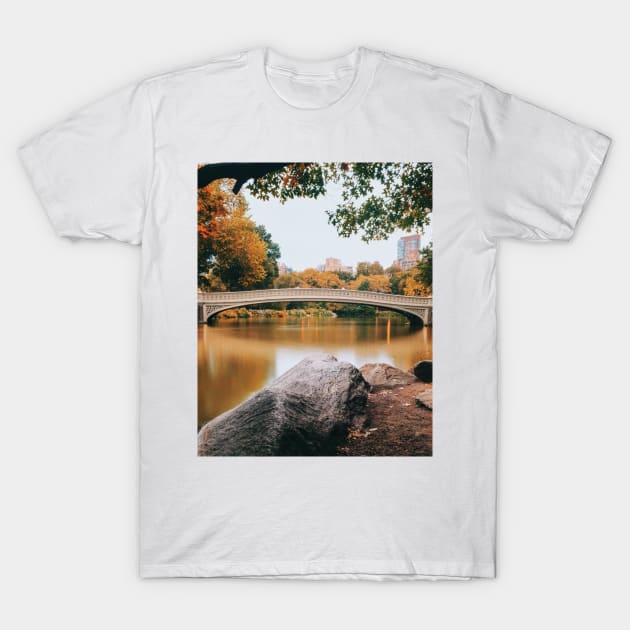 New York Central Park 2 T-Shirt by igjustin